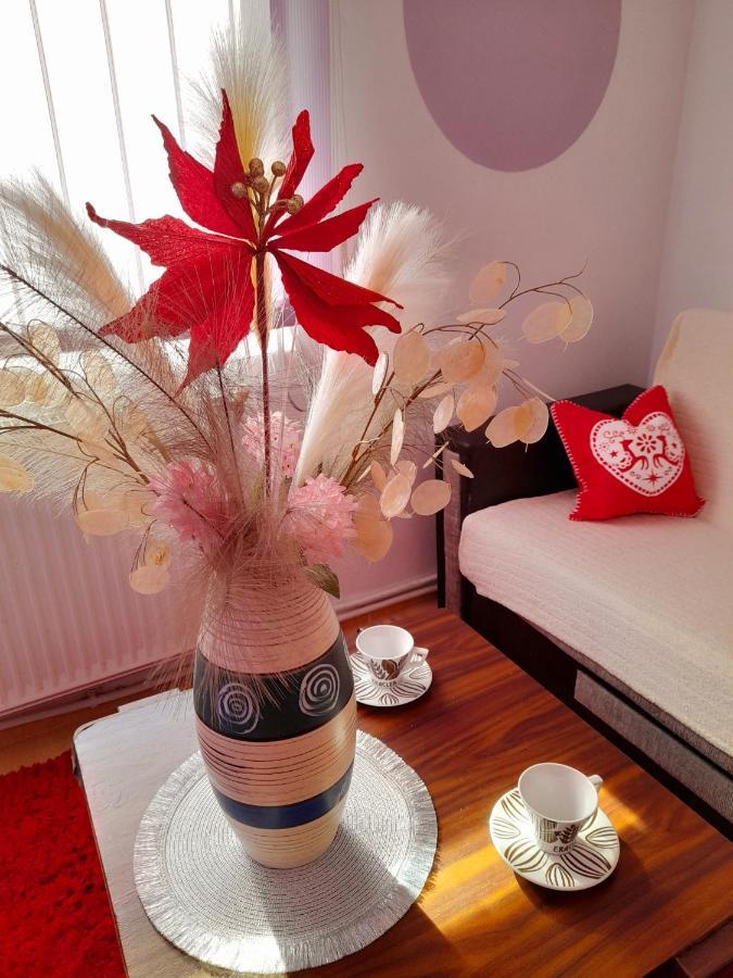 Apartment Boulevard Cetate Alba Iulia Zewnętrze zdjęcie