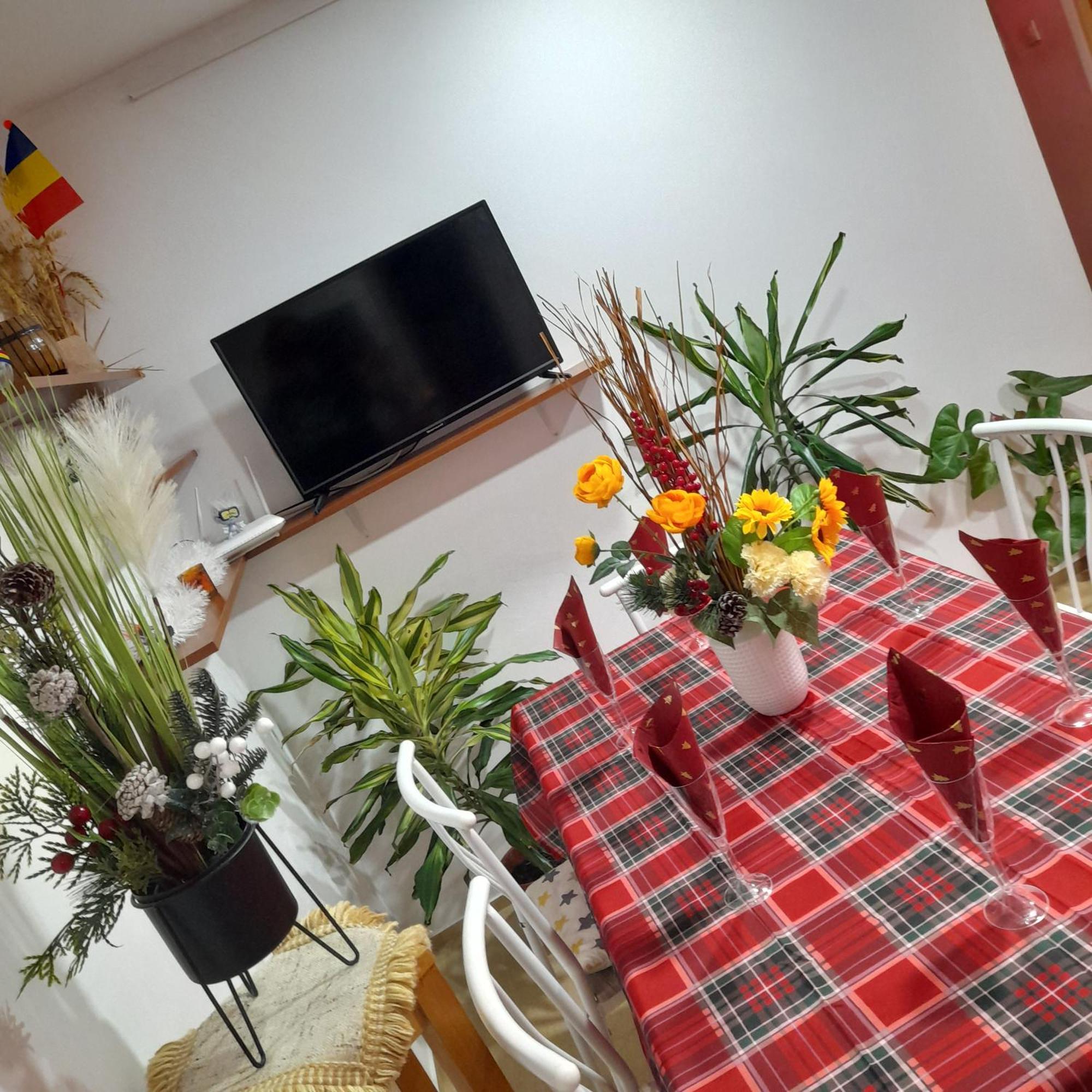 Apartment Boulevard Cetate Alba Iulia Zewnętrze zdjęcie