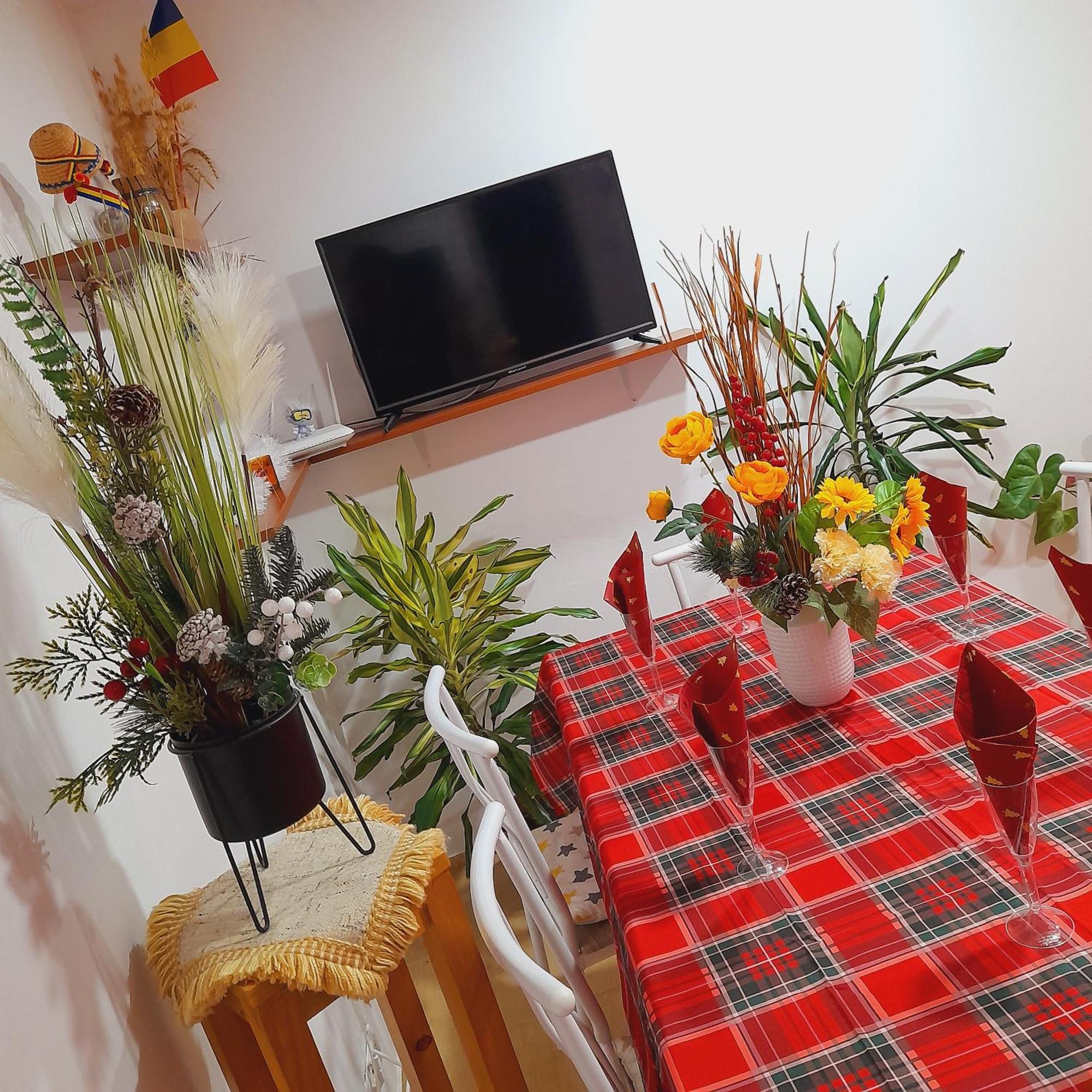 Apartment Boulevard Cetate Alba Iulia Pokój zdjęcie